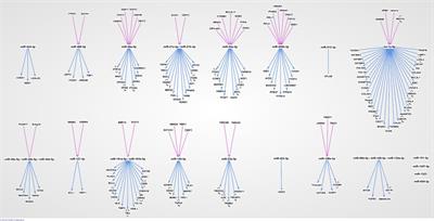 Global microRNA and protein expression in human term placenta